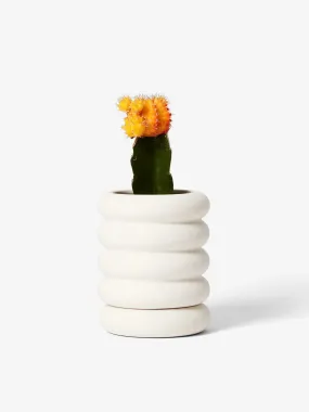 Areaware Stacking Planter - Mini White - Tall