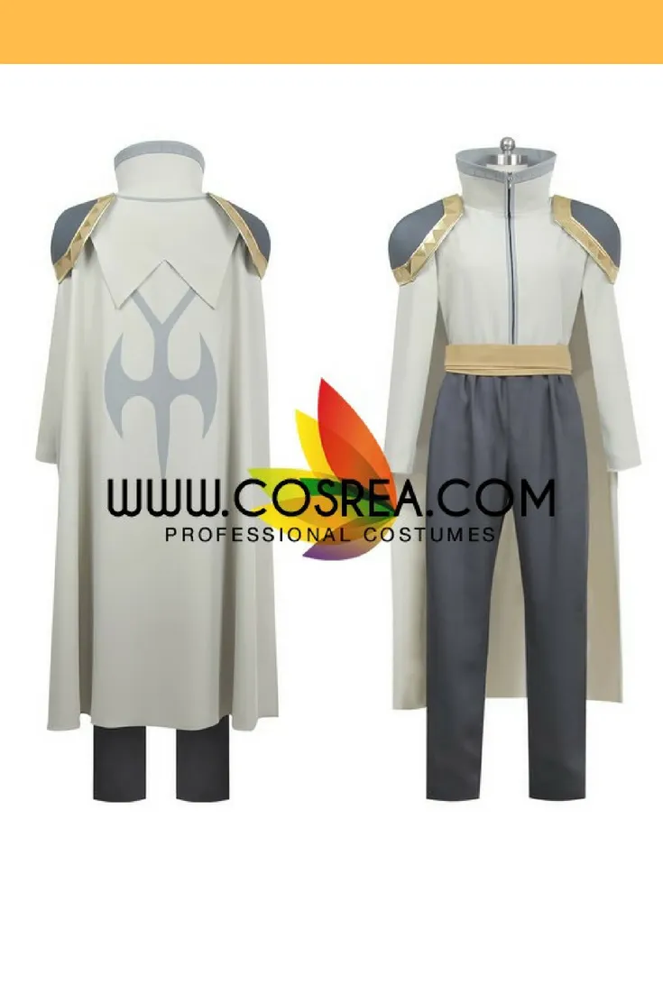 Fairy Tail Purehito Cosplay Costume
