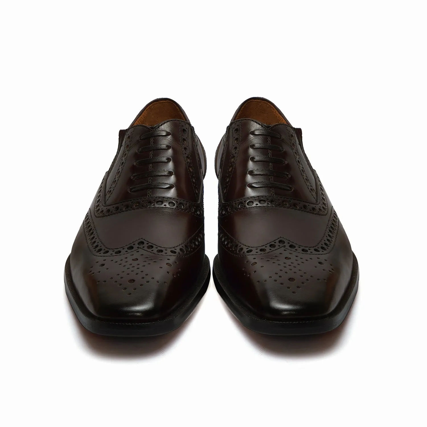 Fixed Lace-Up Lazy Man Formal Shoes in Dark Brown Leather with Stylish Wingtip Punching Brogue Design