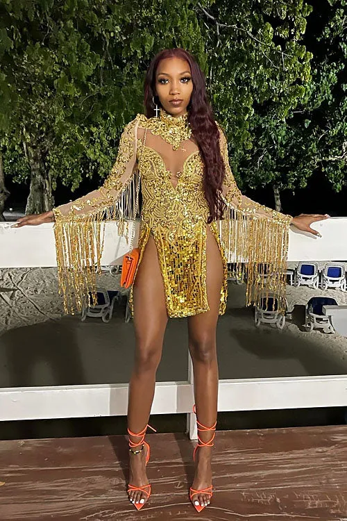 Partition Gold Sequin Dress