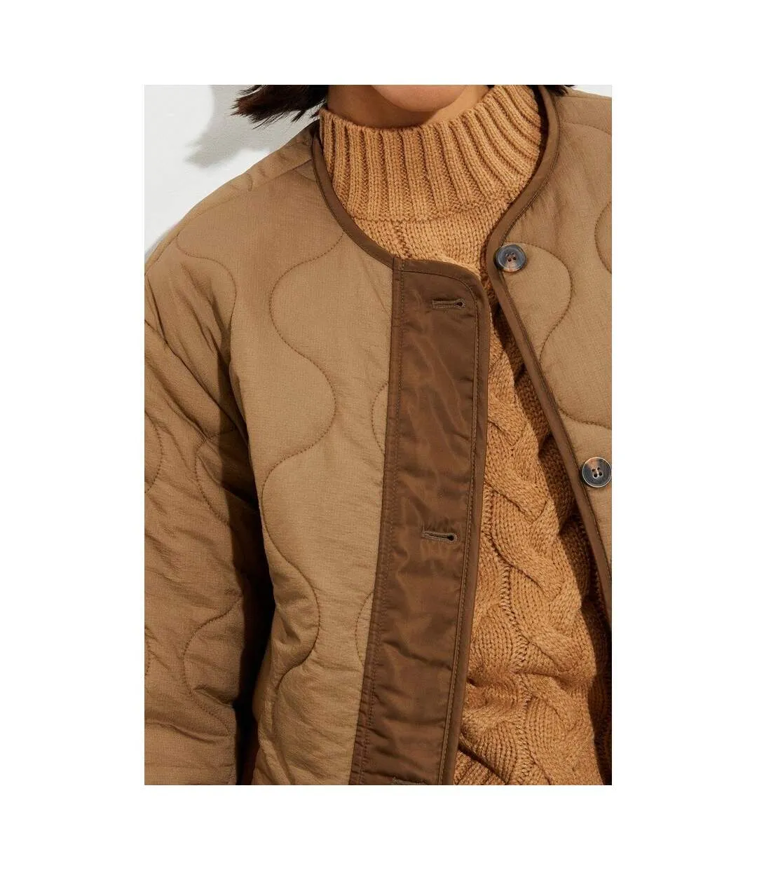 Womens/ladies collarless tall padded jacket chocolate Dorothy Perkins